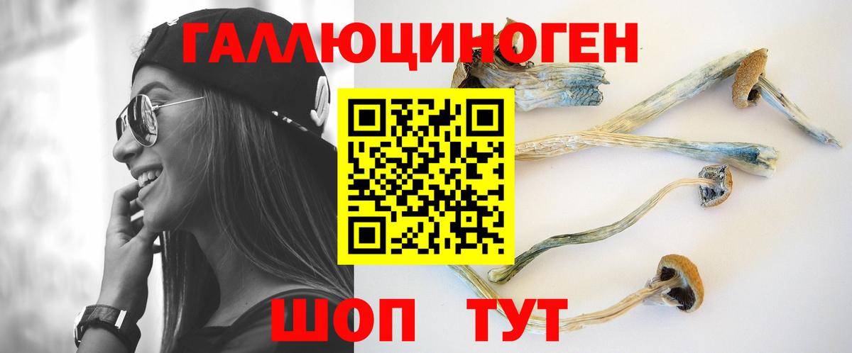 Псилоцибиновые грибы мухоморы Михайловск